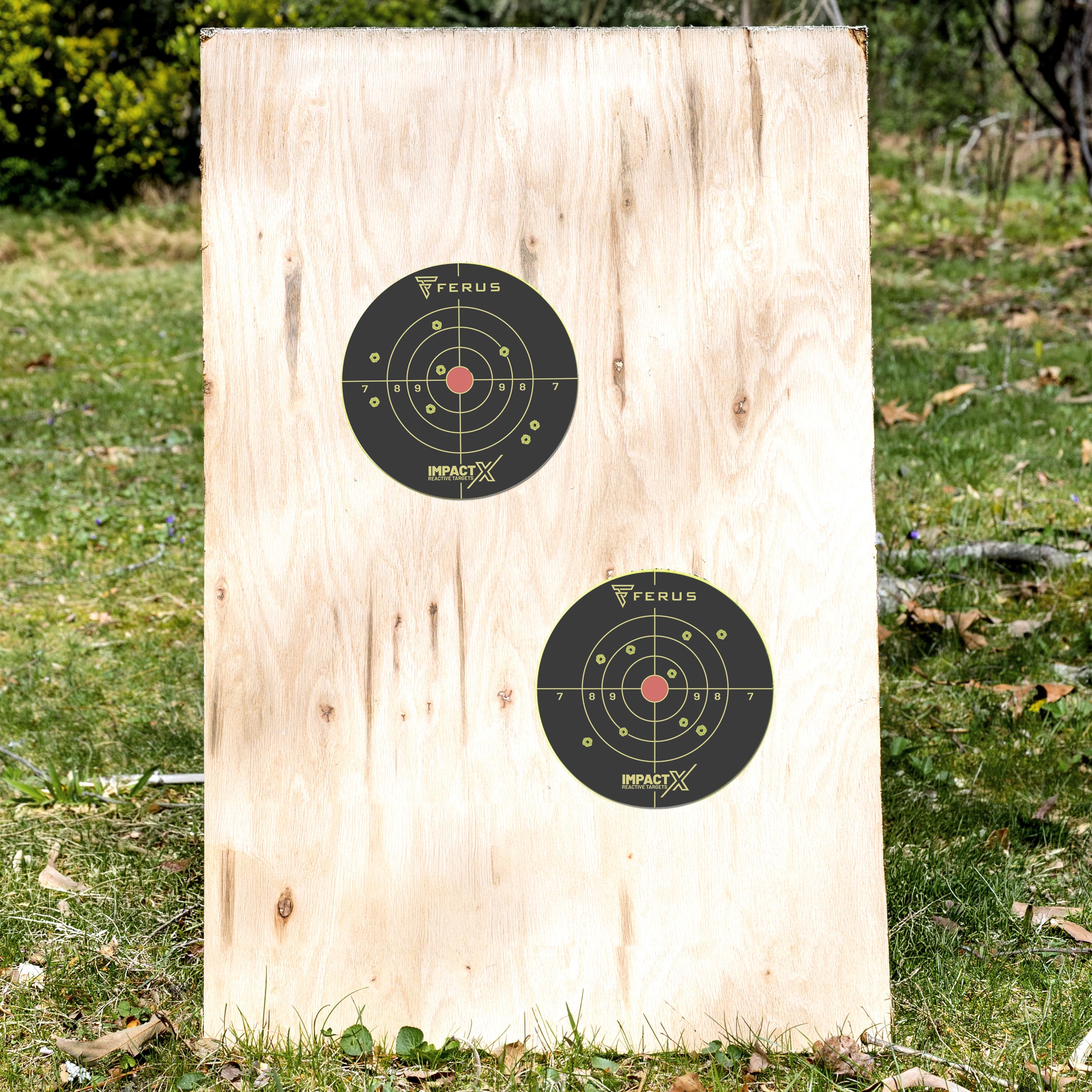 6" ImpactX Splatter Shooting Target